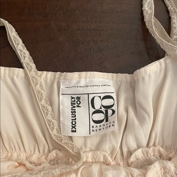 ๐ 2X HP ๐ Twelfth Street By Cynthia Vincent 100% Ivory Silk Dress - Picture 6 of 8